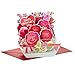 Hallmark Paper Wonder Displayable Pop Up Valentines Day Card (Flowers Valentine)