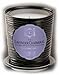 Aquiesse Fine Scented Portfolio Tin Candle - Lavender Chaparral 11oz