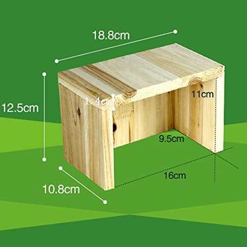 Wildgirl Tortoise Lizard Reptile Hideout Hiding Place Cedarwood Hut