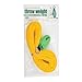 Weaver Arborist Throw Weight and Line Kit, 16 oz, Green primary