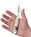 Case Wood Duck Embellished Trapper Pocket Knife