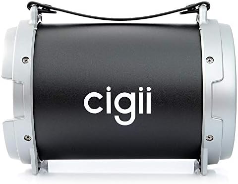 cigii speaker price