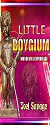 Little Boygium - Wonderful Experience
