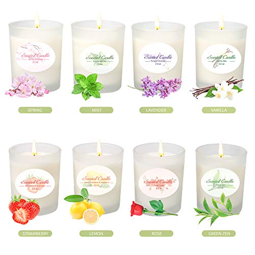 YMING Scented Candles Set of 8, Natural Soy Wax Frosted Glass Aromatherapy Candle Gifts for Women, Anniversary, Birthday (Best Cheap Scented Candles)