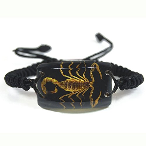 Genuine Golden Scorpion In Black Lucite Bracelet
