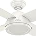 Hunter Dempsey Indoor Ceiling Fan with Remote Control
