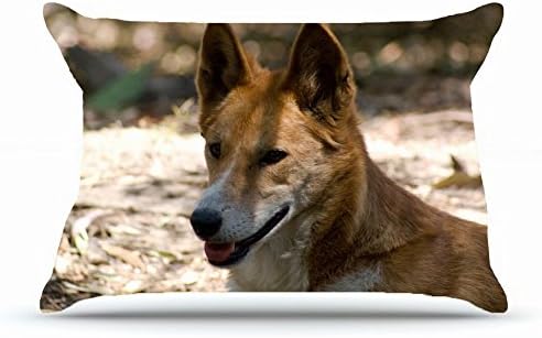 Xcdhhd Queen Pillowcase Size 20 x 30 Inches Cotton Pillowcases Decorative Pillow Cover with Hidden Zipper Decor Cushion Covers - Animals wild dog dingo s shadow For Car