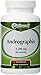 Vitacost Andrographis - 1,200 mg per Serving - 120 Capsules