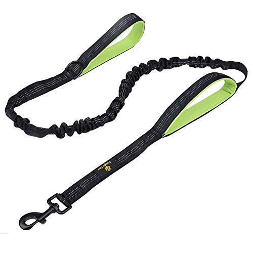 Dog Leash Bungee Double Handle,Shock Absorbing Reflective Elastic Bungee Lead Soft Double Padded