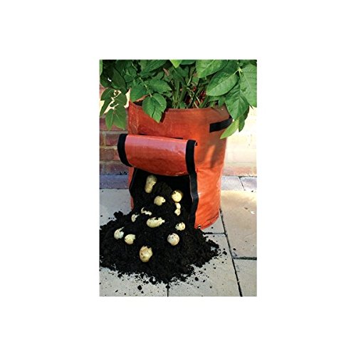 Bolsa para cultivar patatas: Amazon.es: Jardín