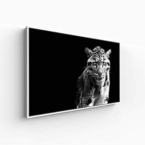 Canvas Wall Art for Living Room, Bedroom Animal Portrait Framed Canvas Prints for Home Decoration Ready to Hang - 16x24 inches