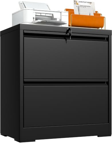 2 Drawer Lateral File Cabinet with Lock, 26.7"W File Cabinets for Home