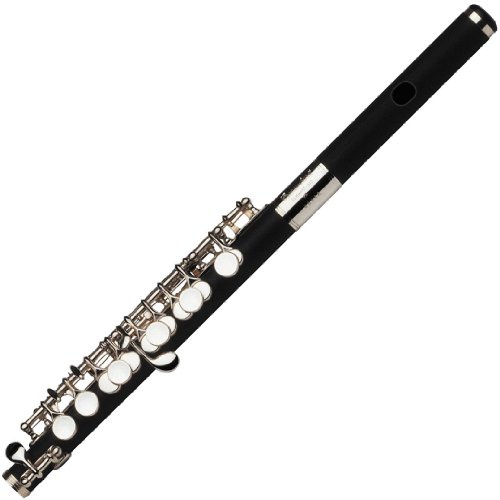 11+ Piccolo Instrument Vs Flute Images