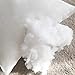 MIULEE Throw Pillow Insert, Stuffer Pillow Inserts Decorative Rectangle Premium Sham Pillow Forms for Sofa Couch Bed 12x20 Inch White