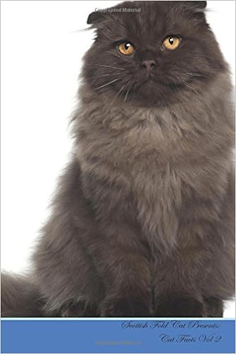 Scottish Fold Cat Presents Cat Facts Workbook Scottish Fold Cat