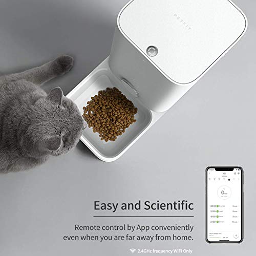 pet smart cat feeder