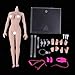 Flameer 1/6 Scale Female Seamless Body Large Bust Stainless Steel Figure Doll Gift New Wheat Skin