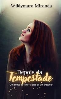 Livro Depois da tempestade : Um conto do livro "Gotas de um desafio"