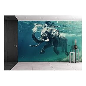 Swimming Elephant Underwater African Elephant in Ocean with...