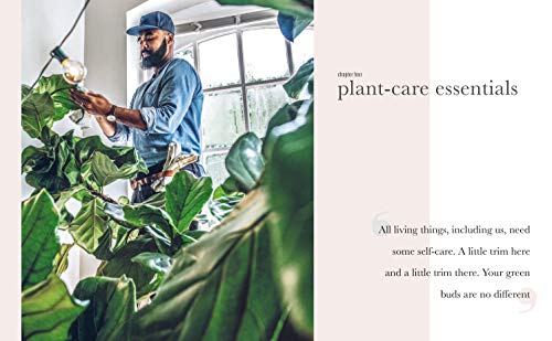 Wild at Home: How to style and care for beautiful plants - Thumbnail 5