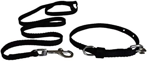 PawzonePuppy Black Leash With Collar Set - Small