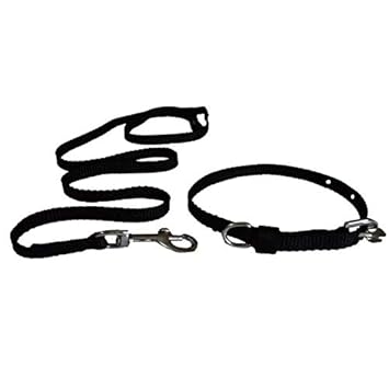 Pawzone Puppy Black Leash With Collar Set - Small