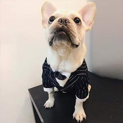 Qnmm Animal De Compagnie Petit Chien Vêtements Costume