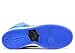 Nike Dunk HIGH PRO SB Mens Sneakers 305050-018
