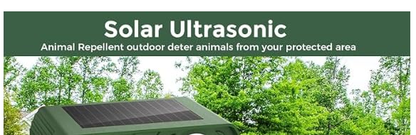 Photo 1 of no Deers Any More