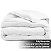 Bare Home Queen Microplush Mattress Topper - Pillow Top Reversible - Soft Mattress Cover - Dual Sided All-Season - 8