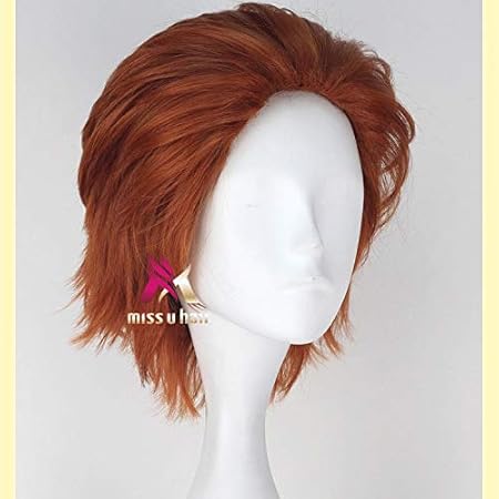 Amazon Com Anime Hunter X Hunter Hisoka Cosplay Wigs Brown Short Hair Hisoka Wig Accessories Phantom Troupe Beauty