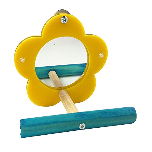 Cute Flower Heart Shape Mirror for Parrot Budgie Parakeet Cockatiels Lovebird African Grey Macaw Amazon Cockatoo Cage Acrylic Training Toy