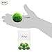 Luffy 8 Marimo Moss Balls - Jumbo Pack of Aesthetically Beautiful Plants - Create Healthy Surroundings - Low-Maintenance Live Play Balls - Shrimps & Snails Love Them
