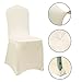 Ivory Stretch Spandex Chair Covers Wedding Universal - 100 Pcs Banquet Wedding Party Dining Decoration Scuba Elastic Chair Covers (Ivory, 100)
