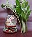 Lightahead Musical Christmas Santa Making his List Polyresin Snow Globe Falling Snowflakes & Music