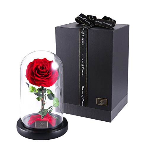 Galaxy Rose Flower Beauty and The Beast Rose Red Rose Infinite Rose