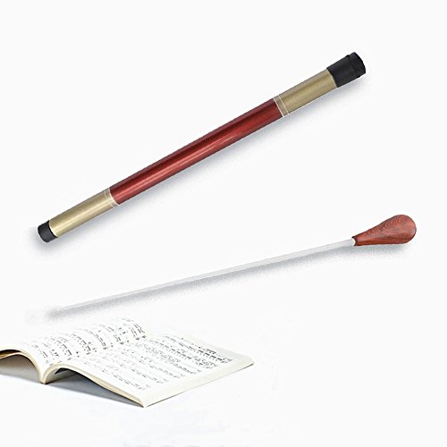Music Conductor Baton with Wooden Handle and Sturdy Case for Conducting