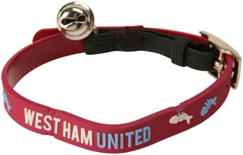 hills active longevity