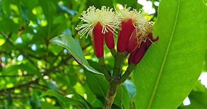 Похожее изображение