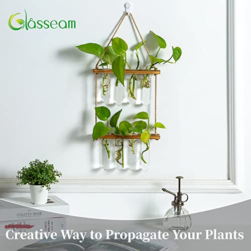 Hanging Plant Propagation Stations Tubes, Glasseam Wall Glass Planter