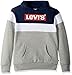 Levi's Boys' Graphic Logo Pullover Hoodie