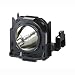 PANASONIC ET-LAD60 Projector Replacement Lamp with Housing
