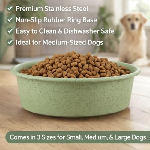 Pawpourri Dog Bowls Stainless Steel Anti-Skid Dog Food Bowl & Water Bowl, Speckle Design Pet Feeder for Puppy and Small Dogs, Durable & Easy Clean Feeding Bowl (Green, 470 ML)