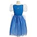 Disney Princess Heart Strong Cinderella Dress