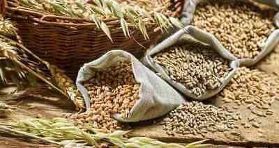Organic Cereal Rye, Wheat or Oats Whole Grain Berries Clean Food Grade Untreated