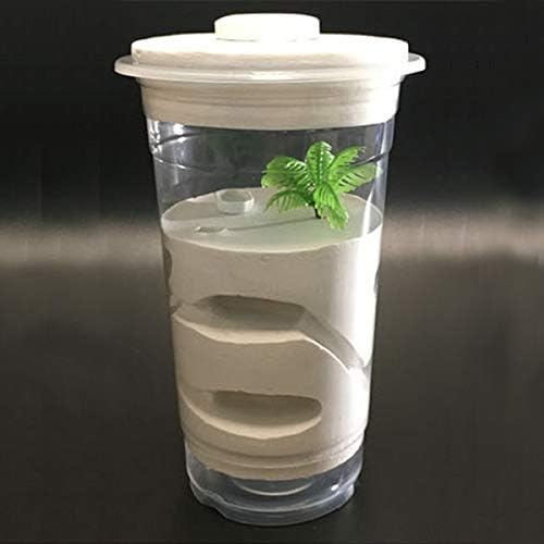 自由研究キットが力強い味方に 小学校低 中 高学年向けのキットの選び方や 実験 観察 工作 調べ学習におすすすめのキットは 小学館hugkum