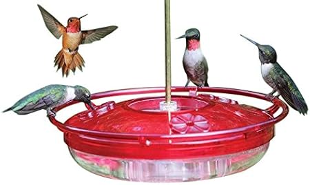 Amazon Com Cole S Hh03 Hummer High Rise Hummingbird Feeder