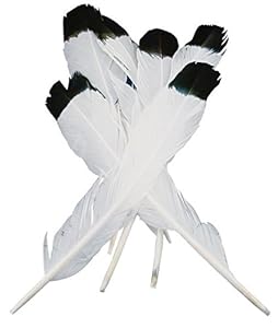 Amazon.com: Touch of Nature 38180 Simulated Eagle Feather: Arts, Crafts
