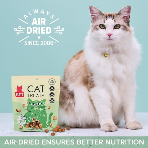 PLATO PET TREATS CAT TREATS – SINGLE INGREDIENT, HEALTHY CHICKEN CATNIP TREATS FOR INDOOR CATS – AIR DRIED – 2.5 OZ