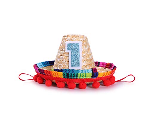 Mini Sombrero Hats for 1st Birthday - Fiesta Cupcake Toppers for Mexican Party Decorations, First Birthday Hat for Uno Party, Fiesta Party Supplies (Mini Sombrero Hats)